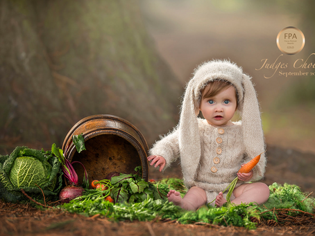 Gold and Judge's Choice at the FPA Awards!