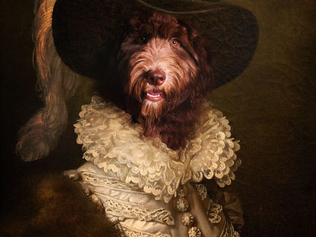 Turn Your Pet Into A Grand Master!