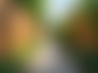 Comprehensive Guide to Fence Installation Services