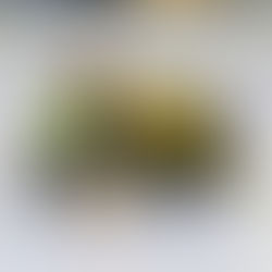 DJK als Ausrichter: Allgäuer Hallenmeisterschaft am Wochenende