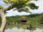 ashwin japan-9