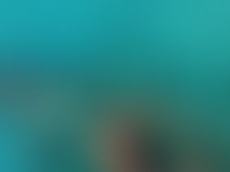 世界自然遺産小笠原プロジェクト