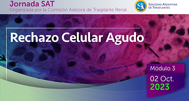 Jornada SAT Rechazo Celular Agudo Sesion 3