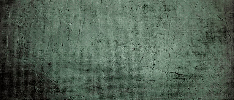 FTR SFONDO website (198 x 84.732 cm).jpg