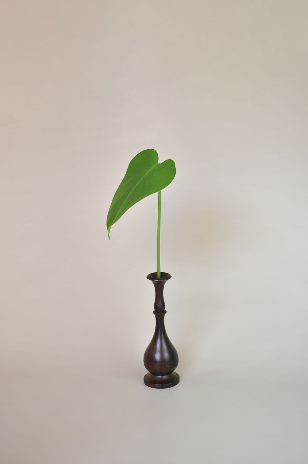 Miniatura: SOLIFLEUR JACARANDÁ 20 | autoria desconhecida