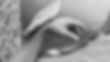 test musc NB.jpg