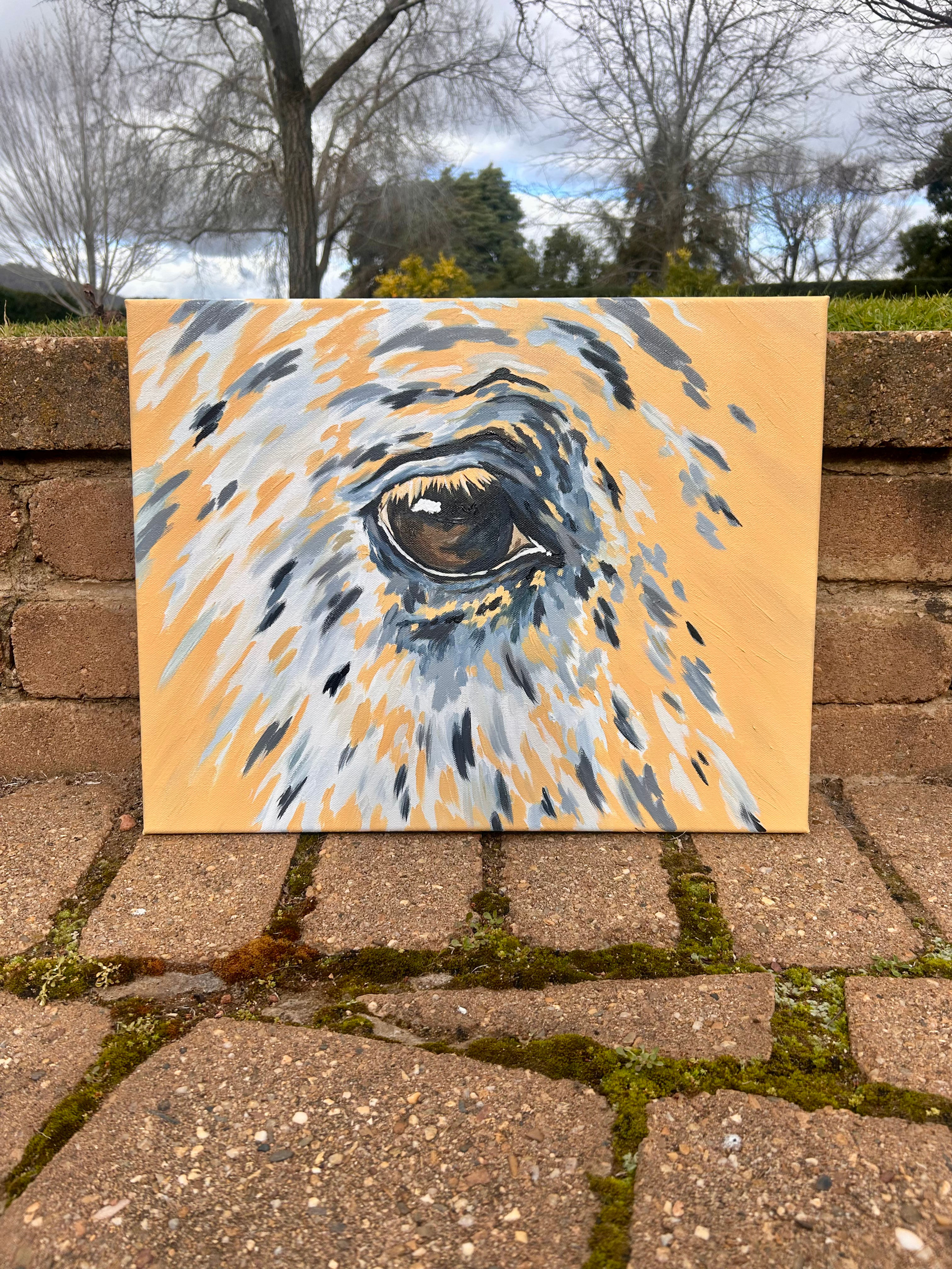 ‘Kind Eye’