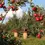 Thumbnail: Doneer een Appelboom