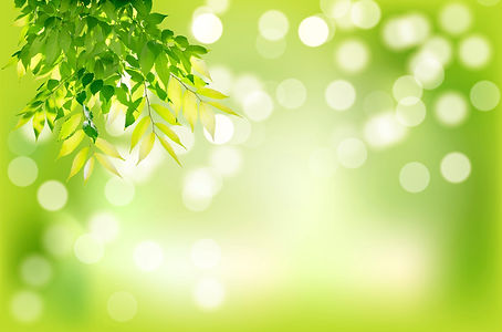 Green%20leaves_edited.jpg