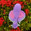 Thumbnail: Colibri