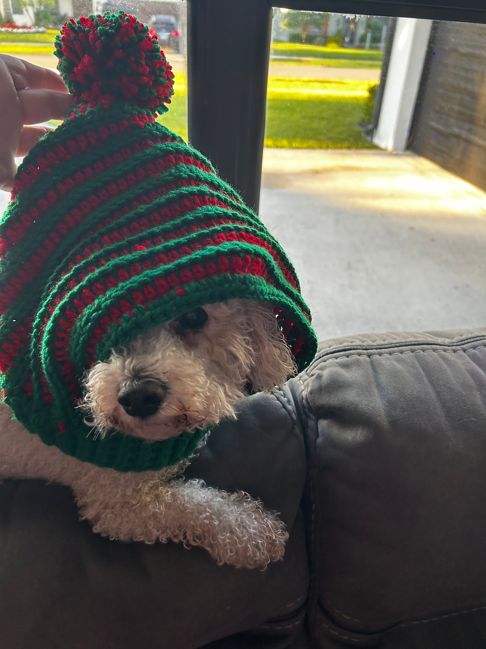 Thumbnail: Dog Snood