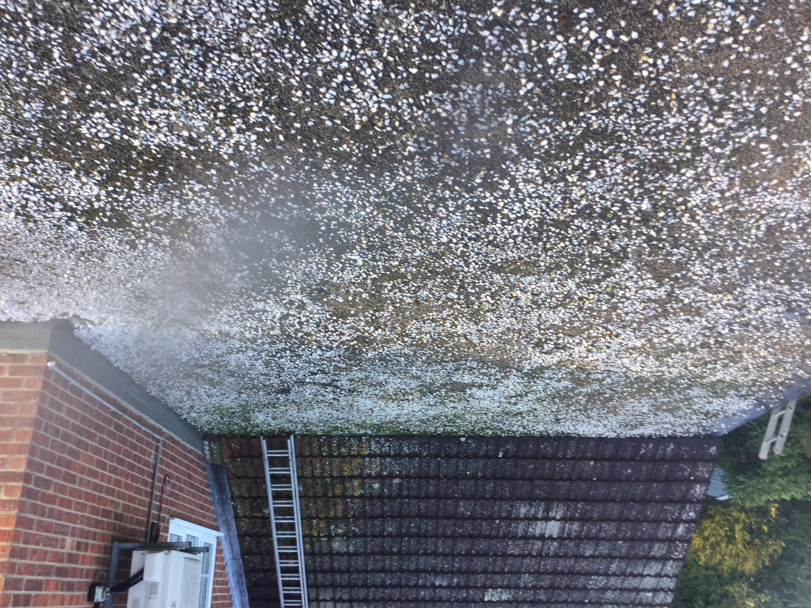 B: Existing roof