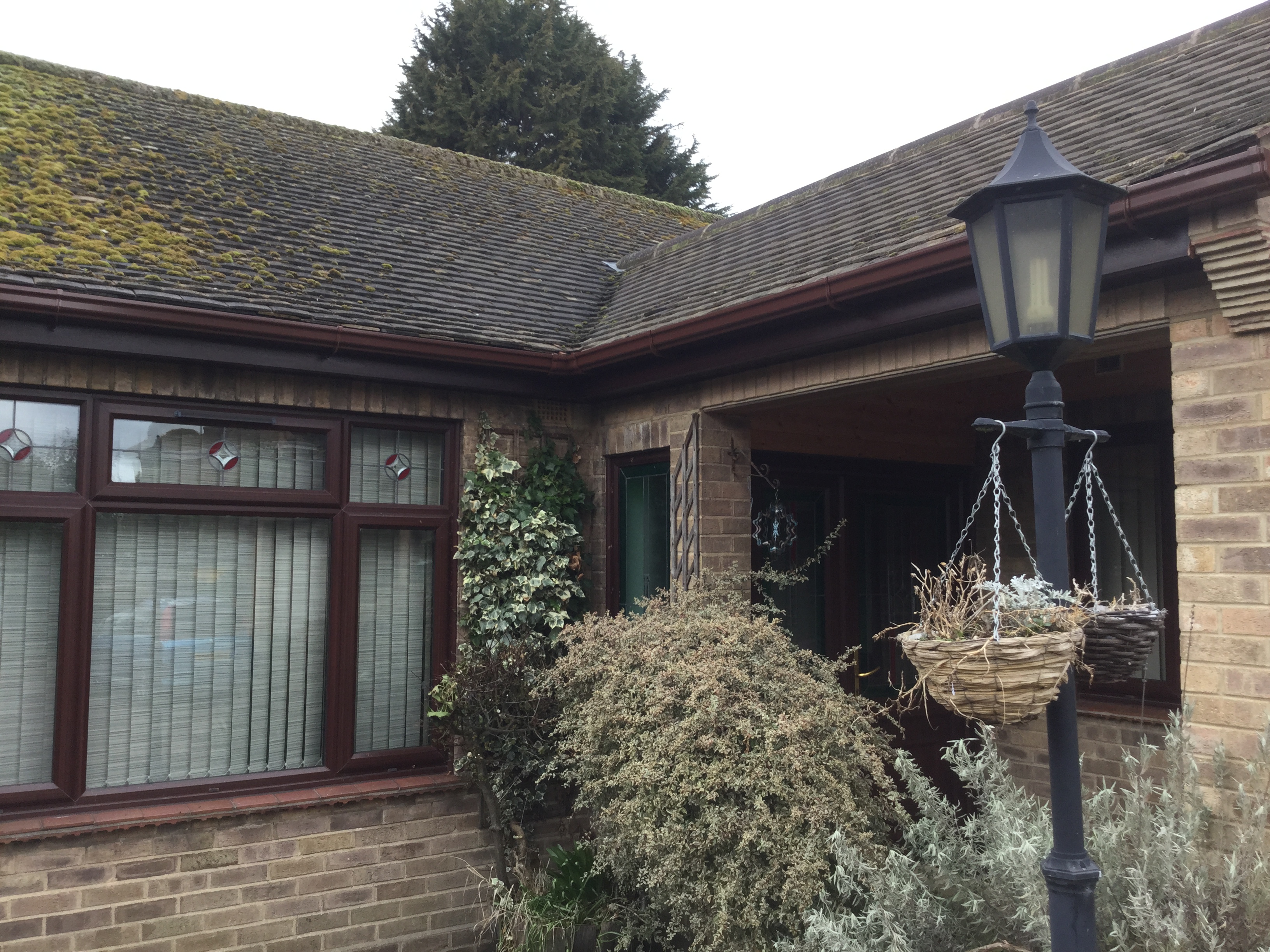 Moss build up on existing roof