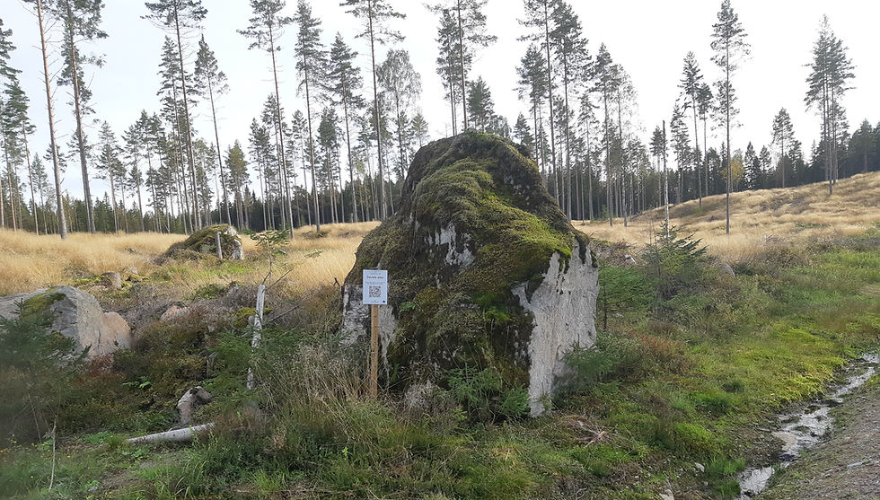 Davids sten_edited.jpg