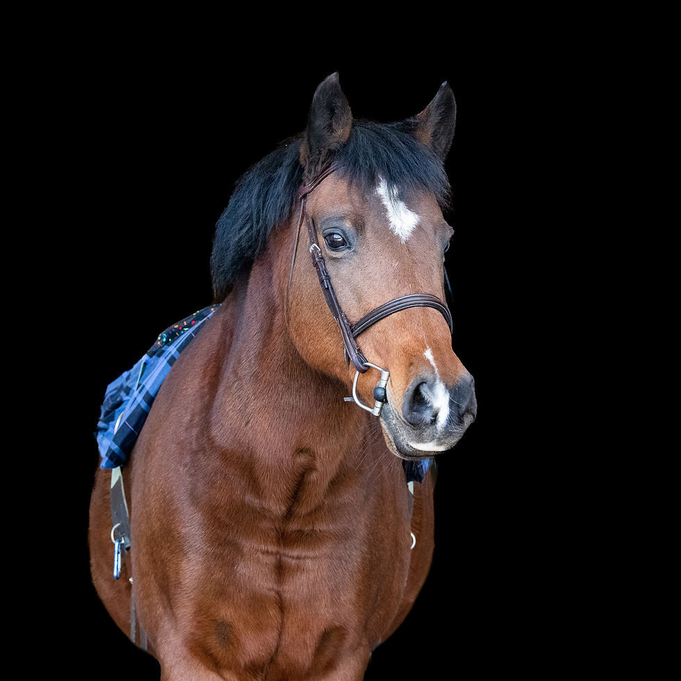 Beau