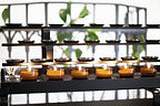 Buddhist Candles