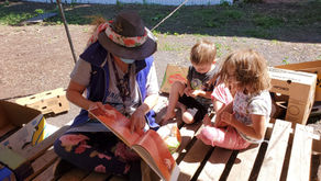 Bench-marks for literacy!