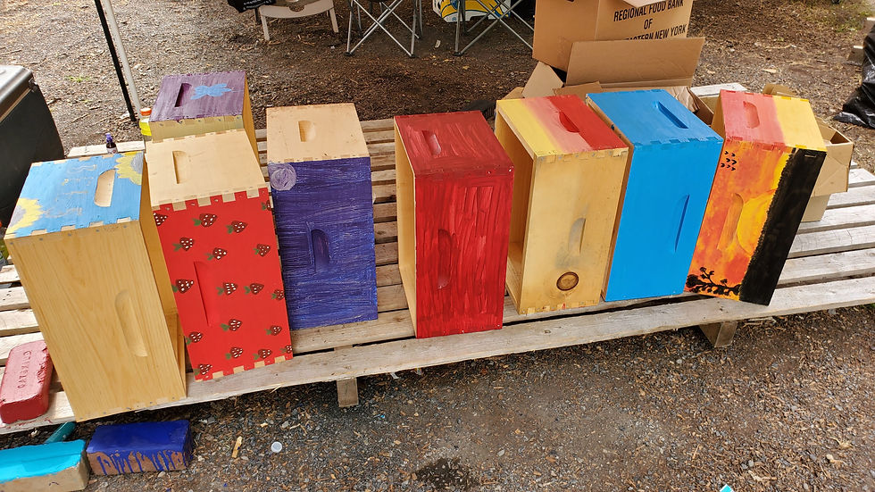 Project Funded: Our New Beehives!
