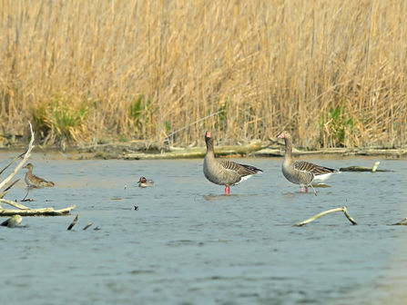Naturschutz mit vielen Facetten