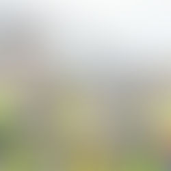 Basaltwerk Pauliberg