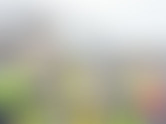 Basaltwerk Pauliberg