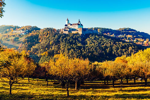 Herbstgold_Herbst_Forchtenstein_web_byJOSEFSIFFERT-35.jpg