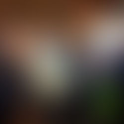 „Die Natur schmecken“ – PANNATURA präsentiert Maibock, Wildbret und nachhaltige Jagd