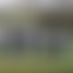 Első kapavágás a kismartoni kastélyparkban – indul a történelmi vízrendszer revitalizálása