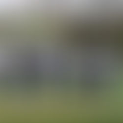 Első kapavágás a kismartoni kastélyparkban – indul a történelmi vízrendszer revitalizálása