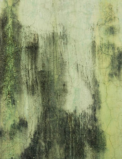 mold