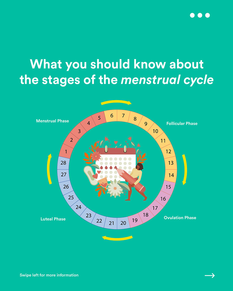 menstrual-cycle-phases-thriving-through-each-stage-of-your-cycle