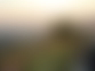 Silencie para sentir