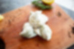 Oysters
