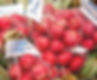 Radish