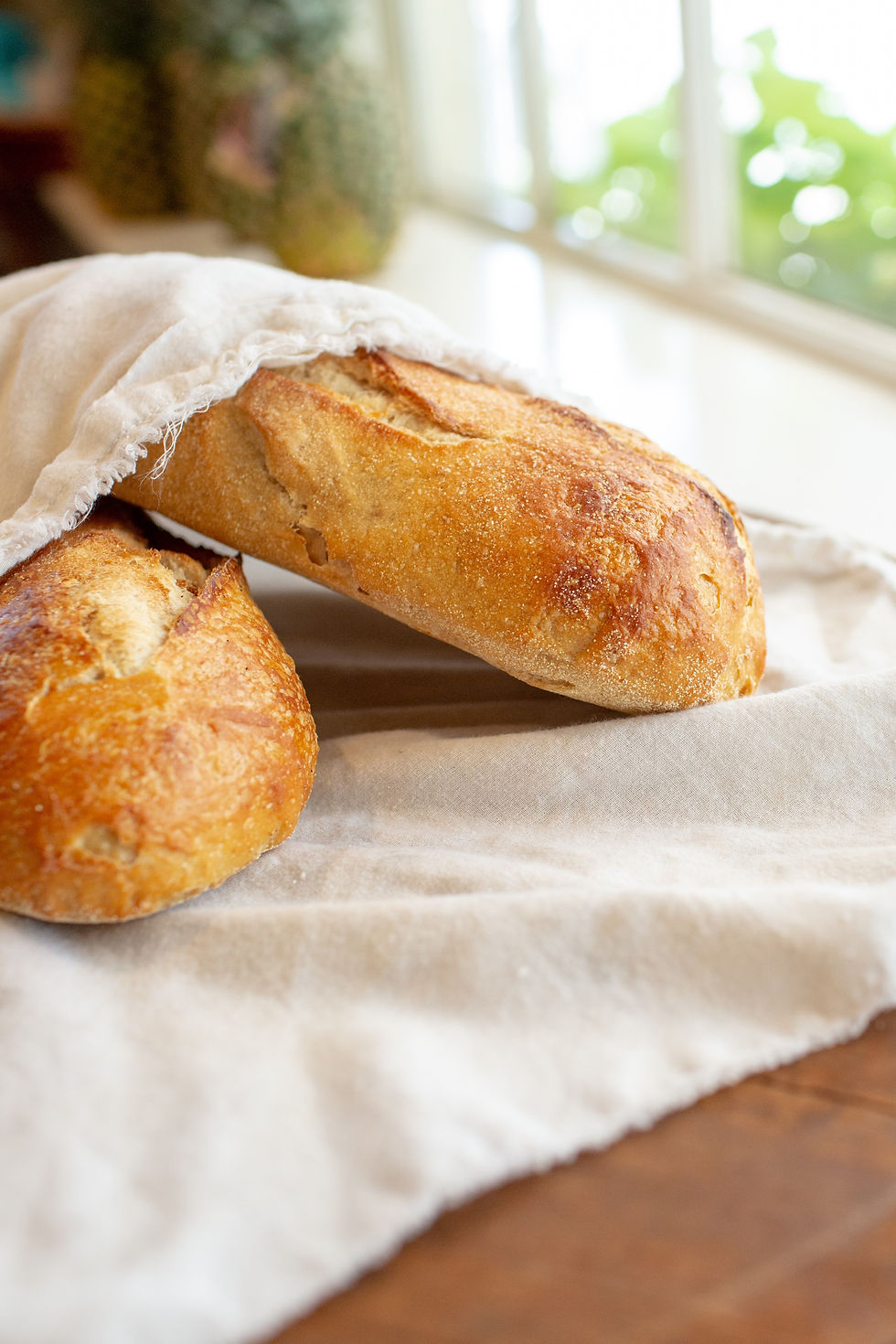 Arranged Food and Objects