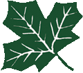 leaf copy (1).gif