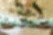 R&P(decoracion)-19.jpg