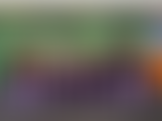 Youth at the Table: Lessons from IPBES12