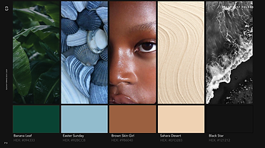 2024 BLACKIVY Brand Deck.png