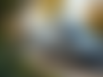 Finding Budget Cleaning Options Near You