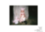 TOKYO GIRLS vol.1甲田まひる