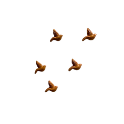 DEC005.png