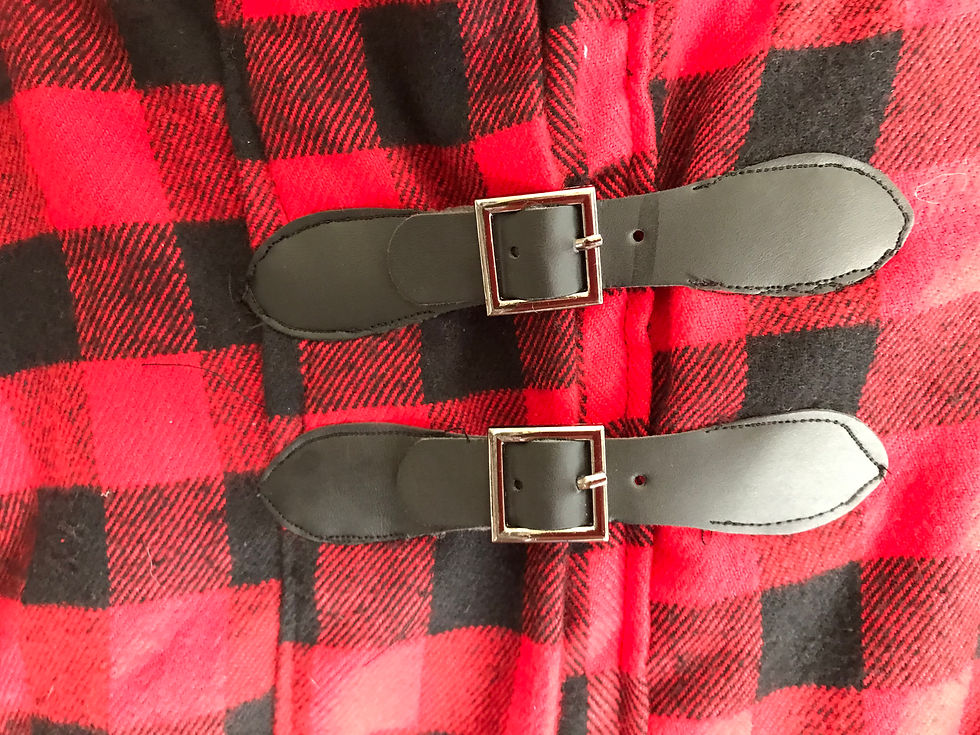 two leather clasps of cloak