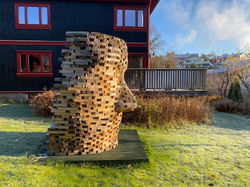 reconstruction/portrett av kunstneren som ung mann II