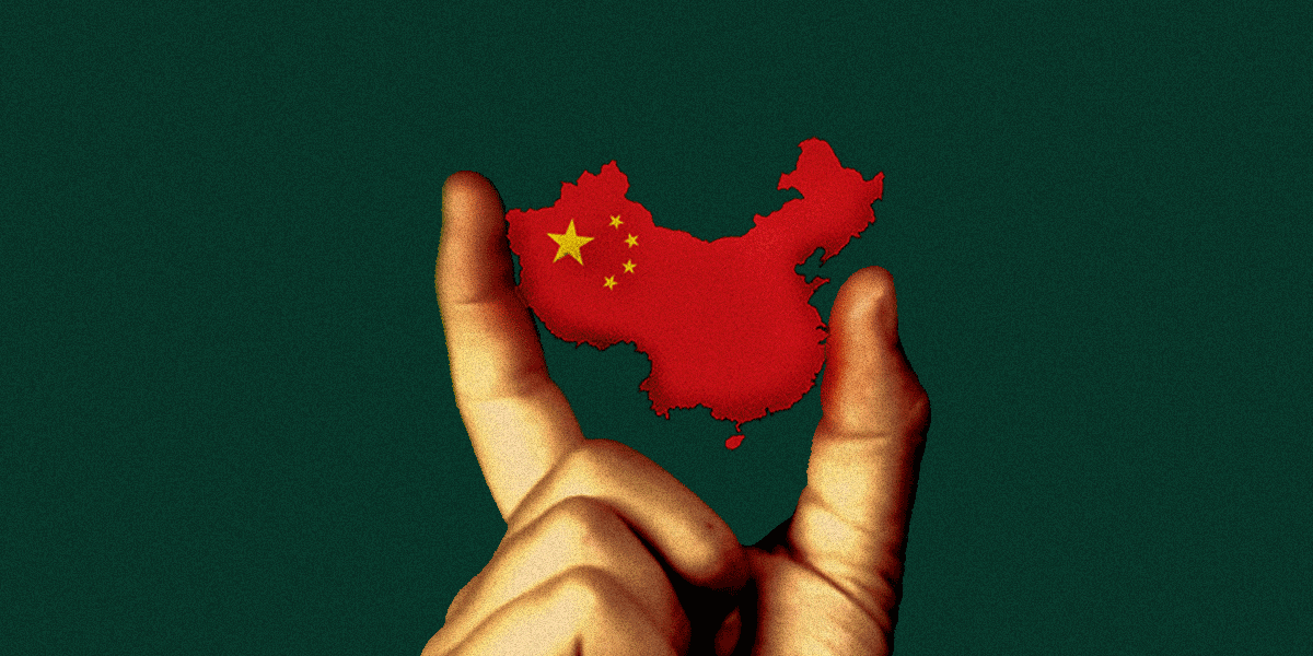 China's rapidly dwindling future 2x1.gif