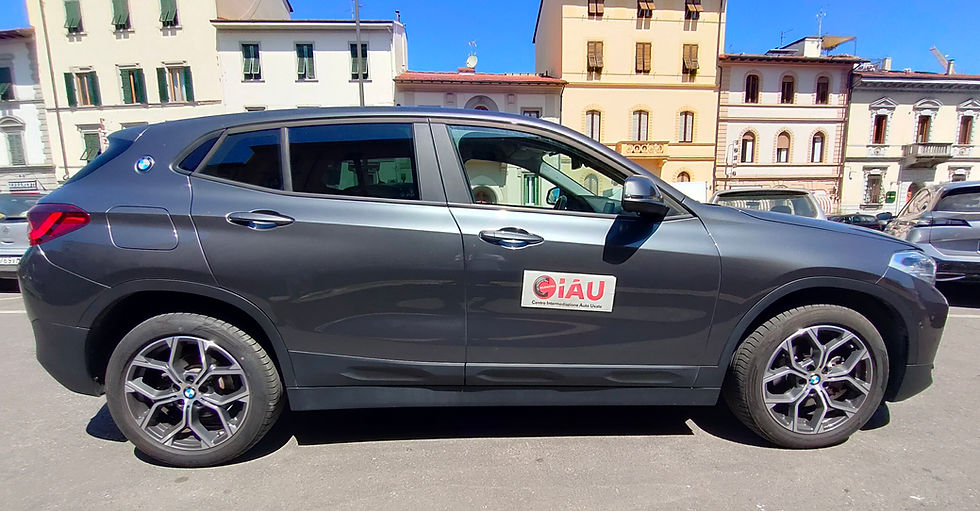 Miniatura: BMW X2 sDrive18d Business-X