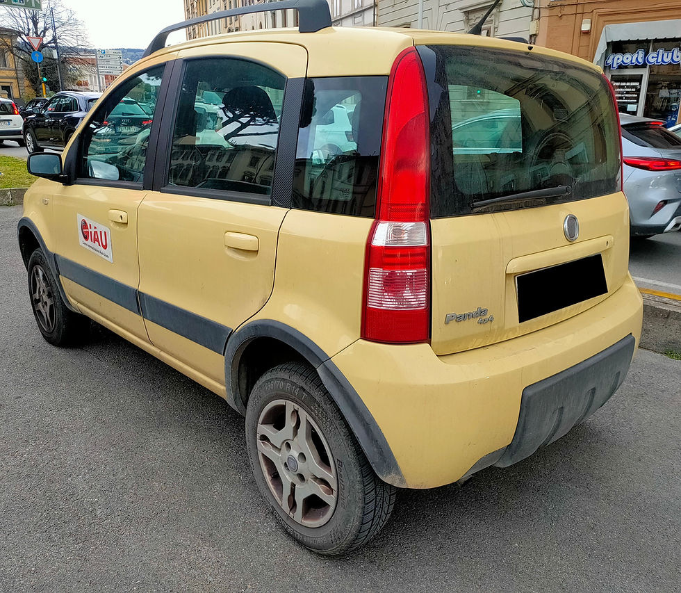 Miniatura: Fiat Panda 1.3 MJT 4x4 Climbing per Neopatentati