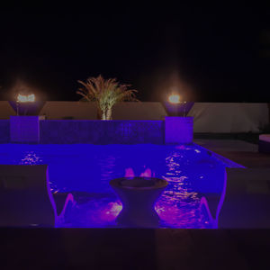 Tropical Pool Paradise