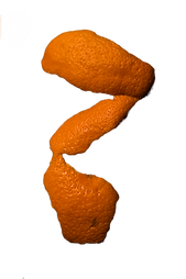 swirly orange peel cut out