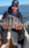 IMG_0052.jpeg